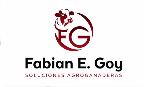 FABIAN E. GOY 