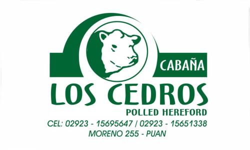 CABAÑA LOS CEDROS